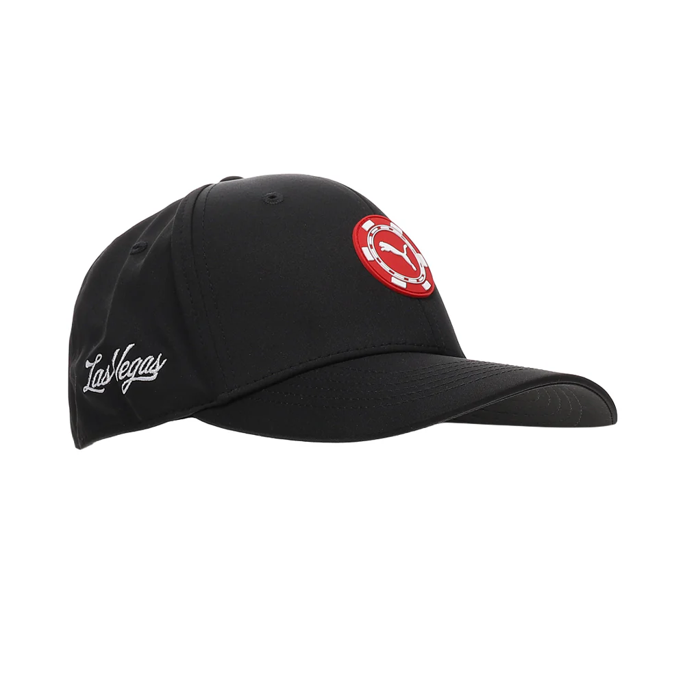 Chip Stretch Fit Cap