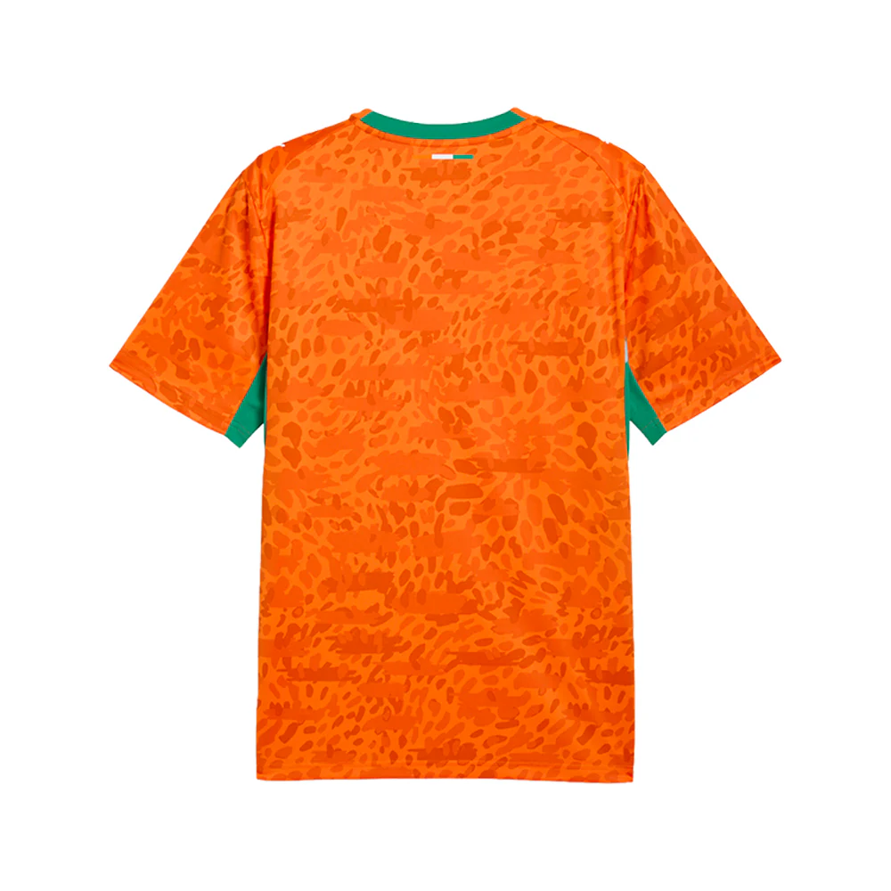 Côte d'Ivoire Home Crew Neck Short Sleeve Soccer Jersey - Image 2