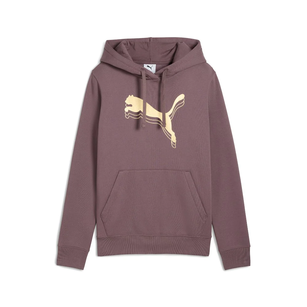 Essentials Metallic Pullover Hoodie