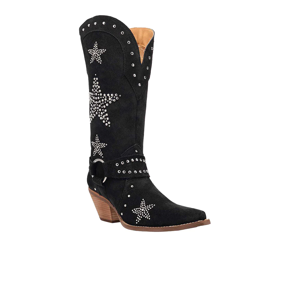 Lucky Stars Suede Leather Snip Toe Cowboy Boots - Image 2