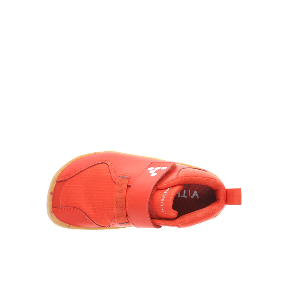 Primus Bootie II All Weather Lace Up Sneakers (Toddler) - Image 4