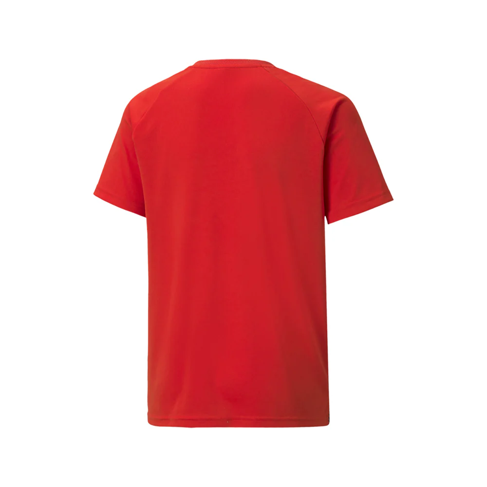 Team Liga Striped Crew Neck Replica Jersey (Youth) - Image 2